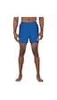 Nike Nıke Swım Breaker Solıd 5"volley Short Deniz/havuz Erkek Şort Nessf560 Nessf560 494