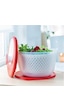 Tupperware Modern Salata Kurutucu Saklama Kabı N1142749 Çok Renkli Tupperware Modern Salata Kurutucu Saklama Kabı N1142749 Çok Renkli