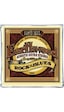 Ernie Ball 2008 Earthwood 80/20 Bronze Rock and Blues Akustik Gitar Teli (10-52)