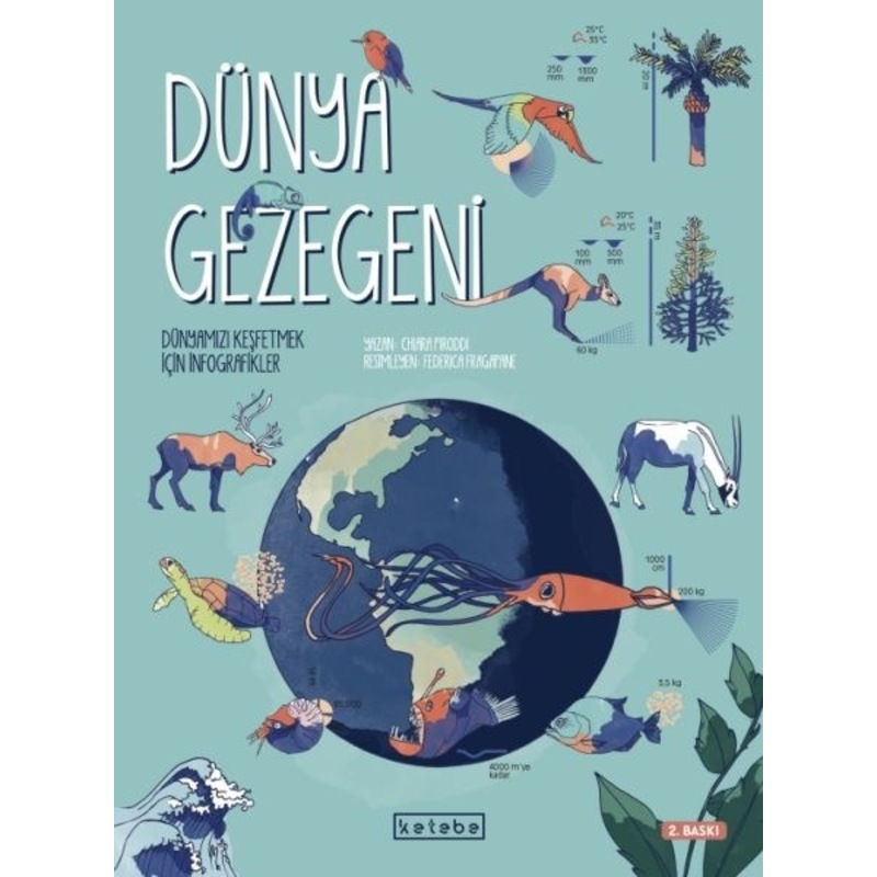 Dünya Gezegeni - Dünyamızı Keşfetmek Için İnfografikler -1