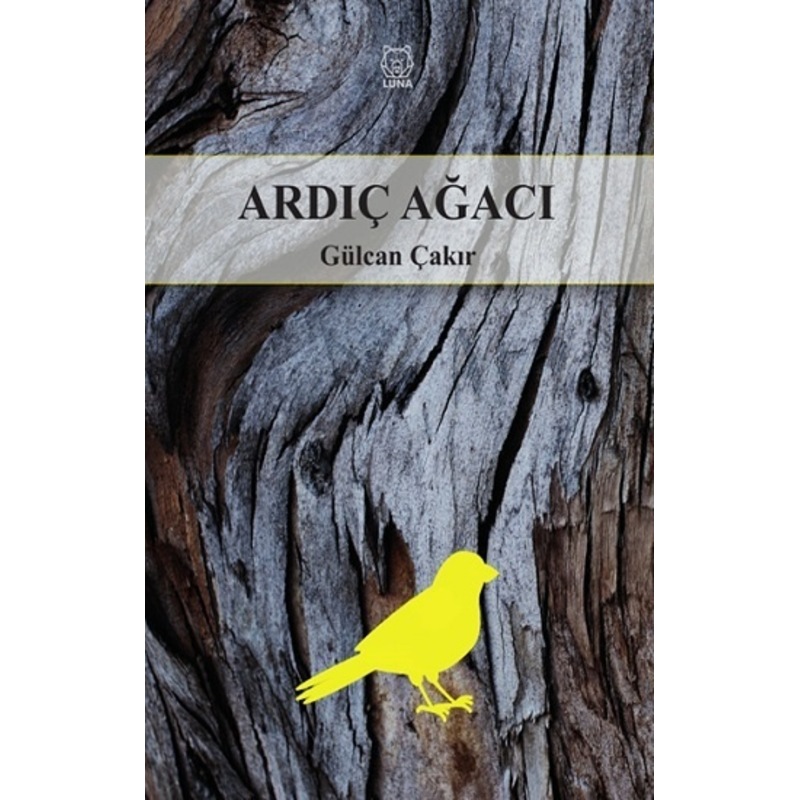 Ardıç Ağacı - 1