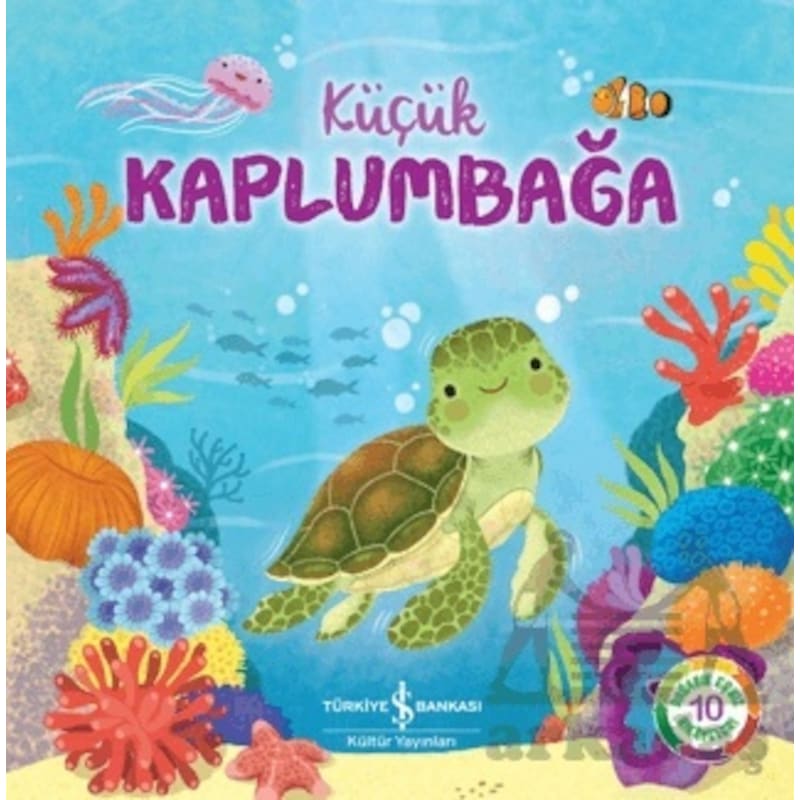 Küçük Kaplumbağa -1