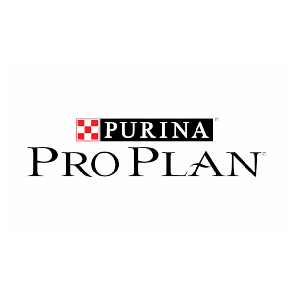 Pro Plan