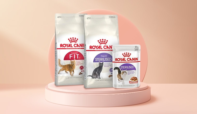 Royal Canin
