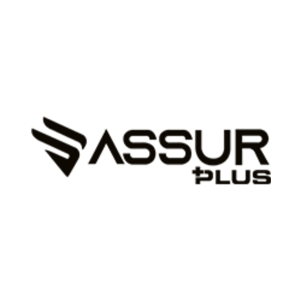 Assur