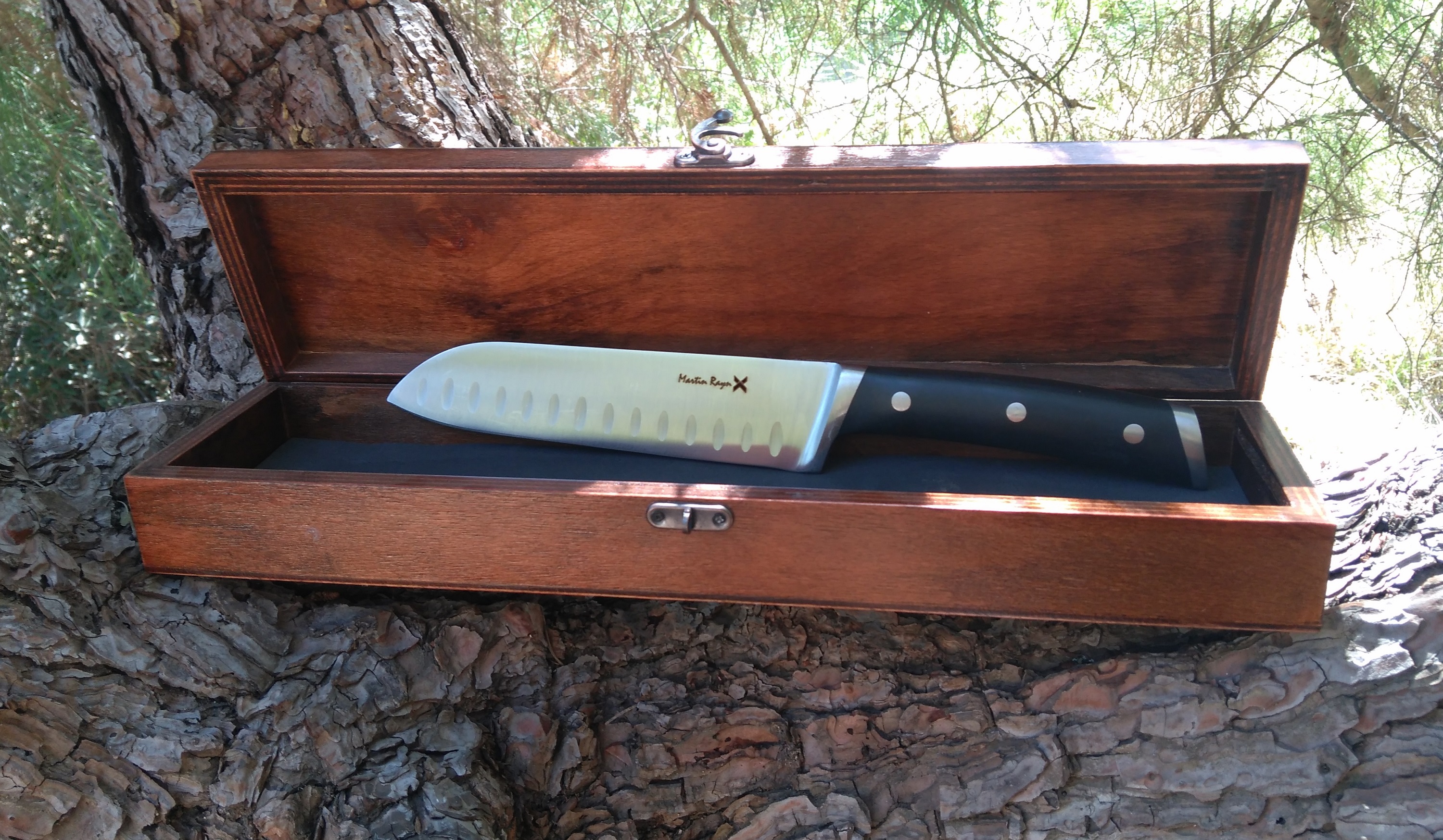 Martin Rayn Profesyonel Kutulu Şef Bıçağı Aşçı Bıçağı