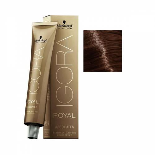 Igora Royal Absolutes Saç Boyası 6 - 60 Koyu Kumral Çikolata Doğal