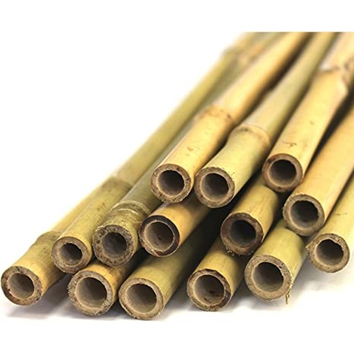 Bambu Çubuk Bitki Destek Çubuğu 10 Adet 12-14 Mm X 150 Cm