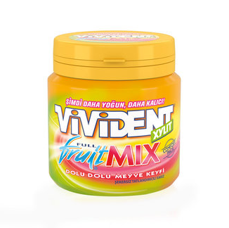 Vivident Xylit Fruit Mix Xylit Mega Bottle 10 x 96 G
