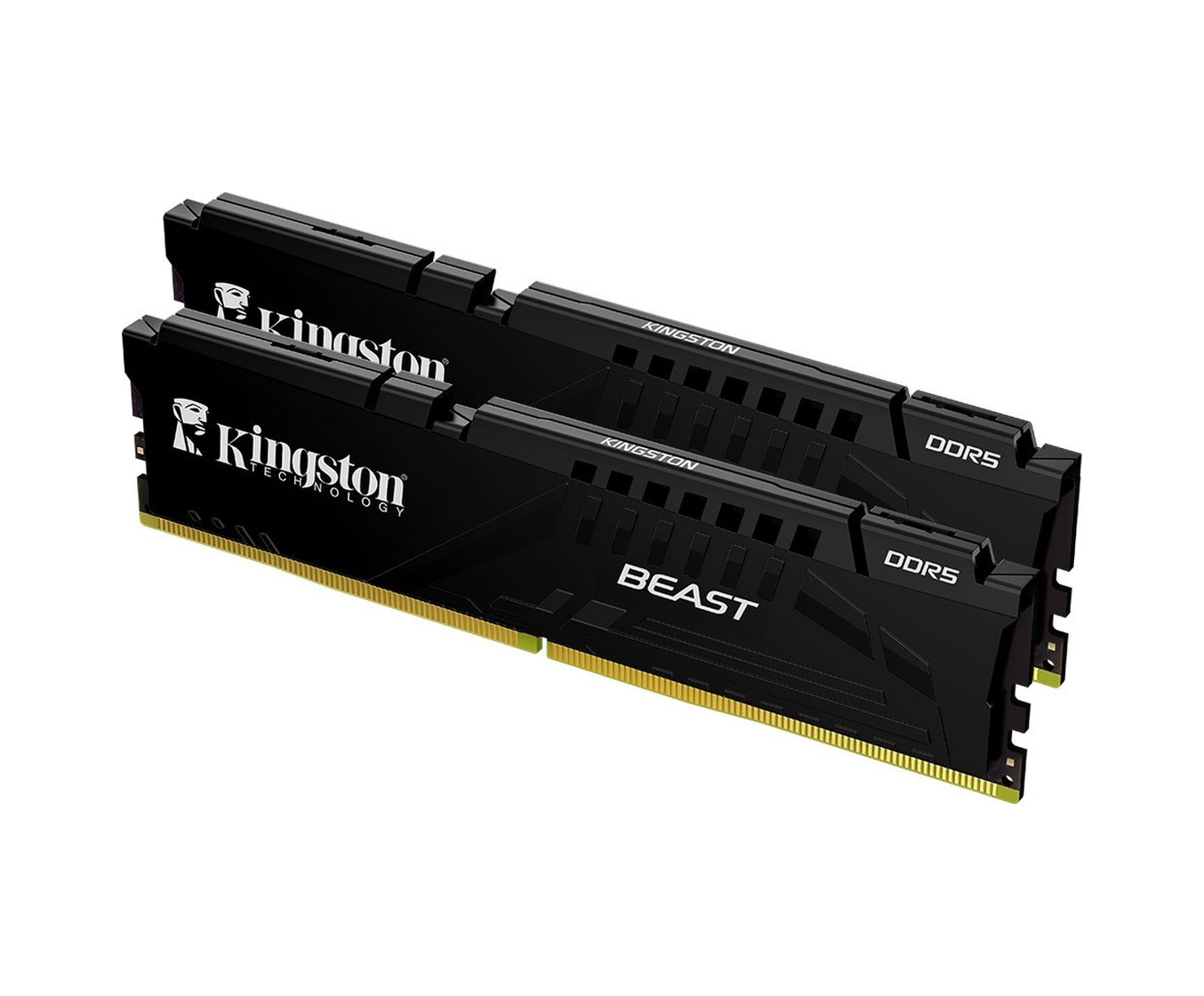 Kingston Beast Expo KF556C36BBEK2-64TR 64 GB DDR5 5600 MHz CL36 PC Ram