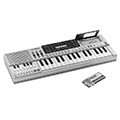 Casio Klavye, Org, Synthesizer Fiyatları ve Özellikleri