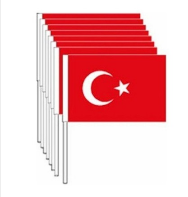 Çıtalı Orta Boy Ay Yıldızlı Türk Bayrağı 12,5 CM x 22 CM 100 Adet