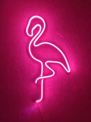 Flamingo Neon Tabela Neon Led Dekoratif Duvar Aydınlatması Neon D