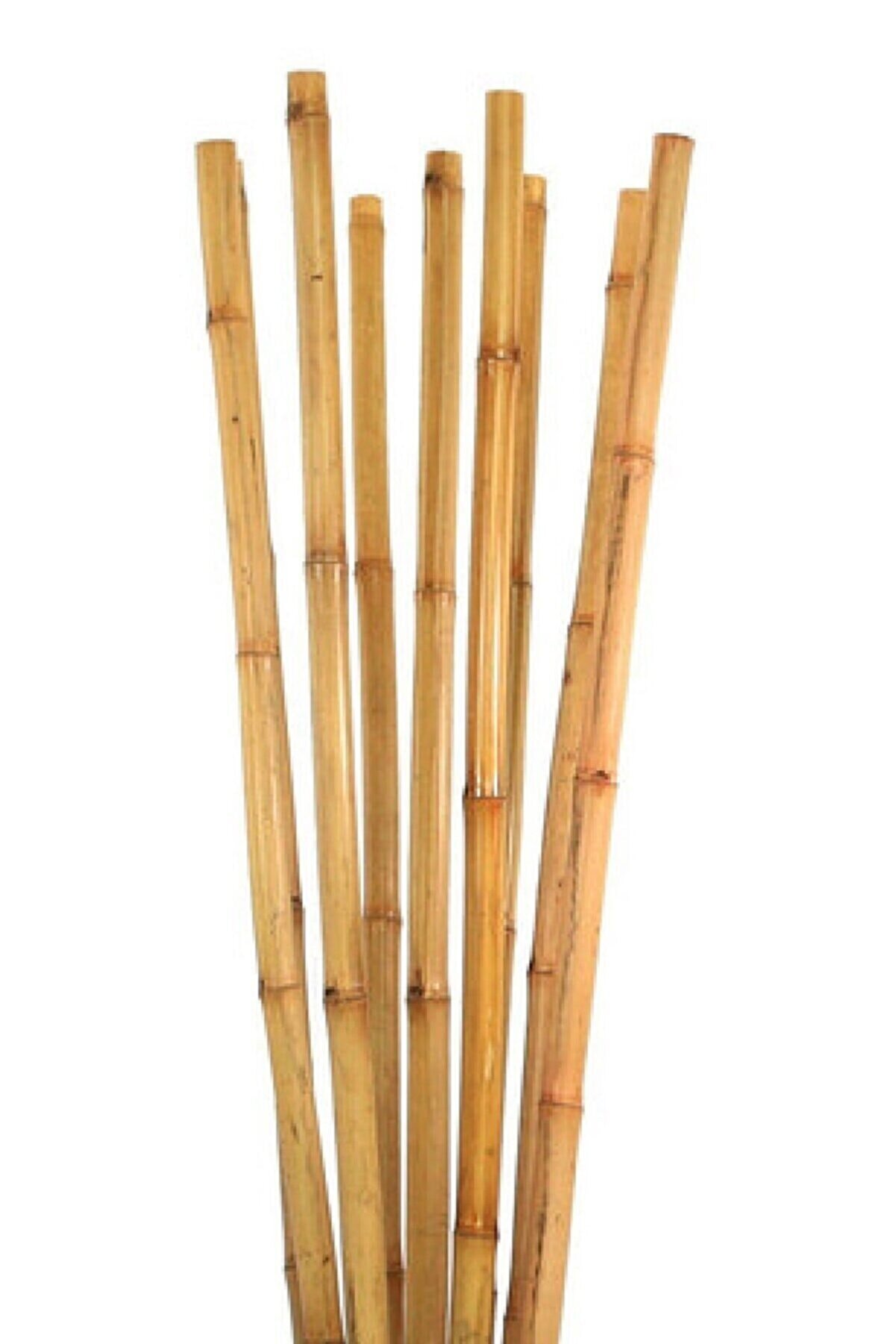 Bambu Bitki Destek Çubuğu 200 Cm 6'Lı Bambu Bitki Destek Çubuğu