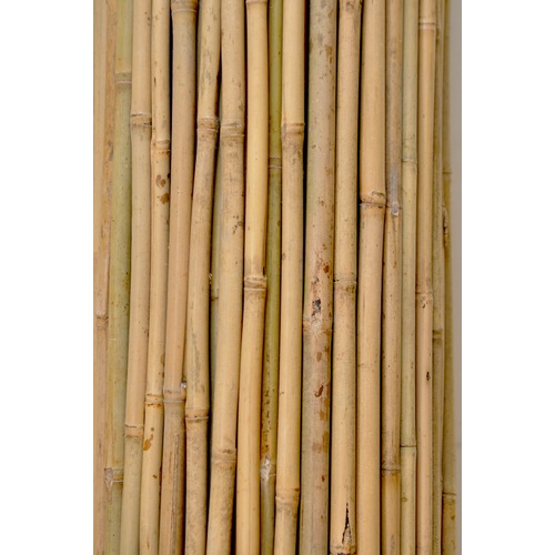 Bambu Çubuk Bitki Destek Çubuğu 10 Adet 22-24 Mm X 210 Cm