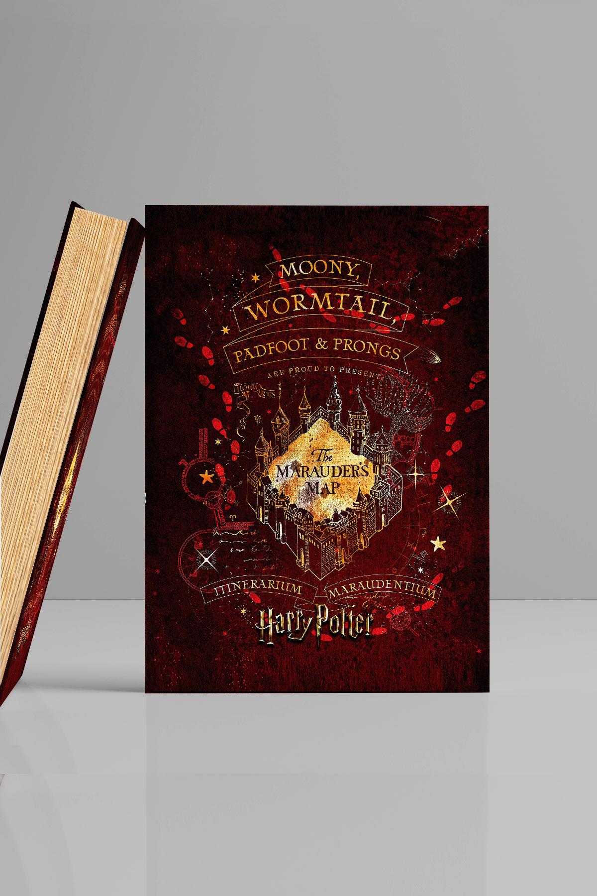 Kitap Görünümlü Dekoratif Kutu Harry Potter 16.5x24.5 Cm