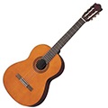 Yamaha Gitar Fiyatları
