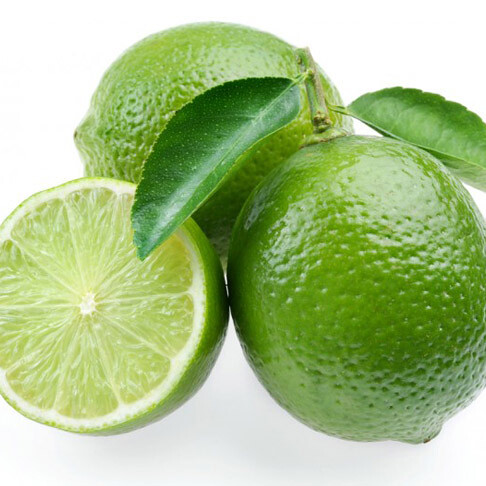 Lime Limon Yeşil Limon Fidanı