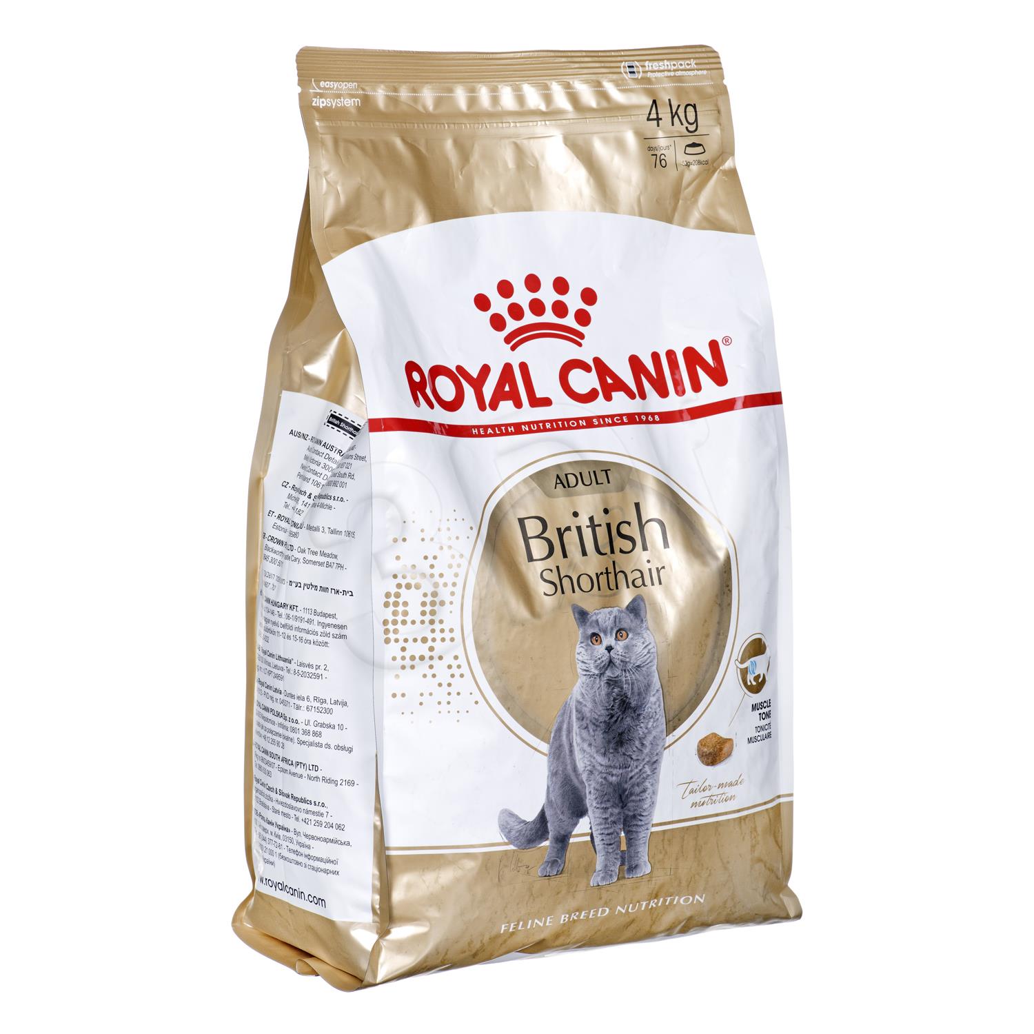 Royal Canin British Shorthair Yetişkin Kedi Maması 4 KG