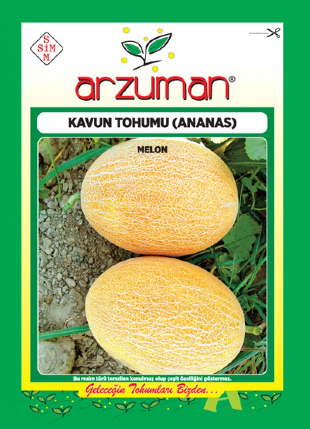 Arzuman Ananas Kavun Tohumu 10 G