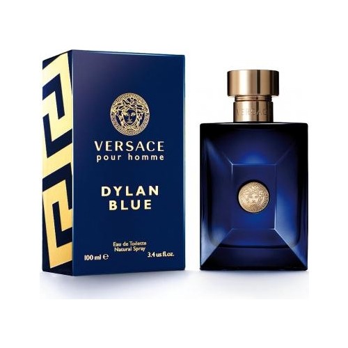Versace Dylan Blue Erkek Parfüm EDT 100 ML