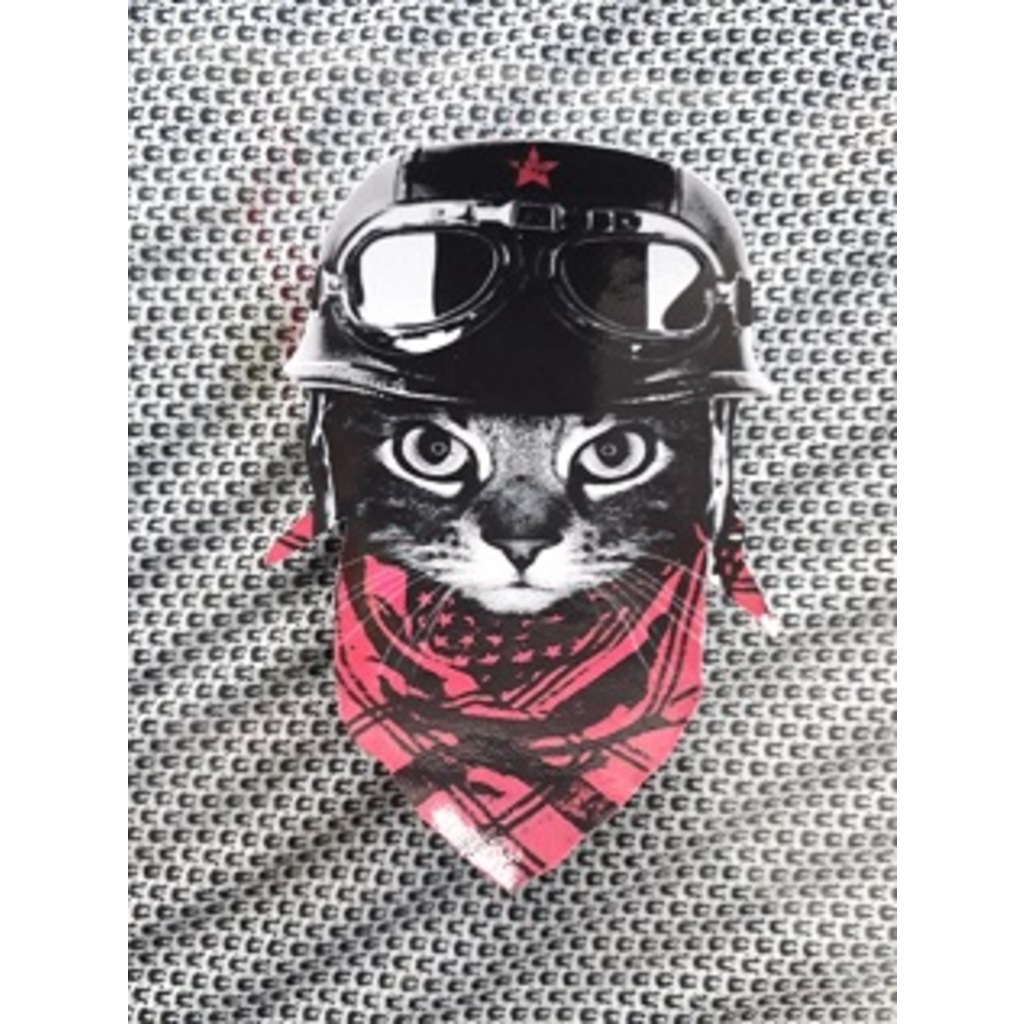 Motorcu Kedi Sticker