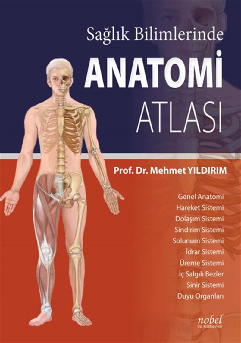 Sağlık Bilimlerinde Anatomi Atlası N11.651