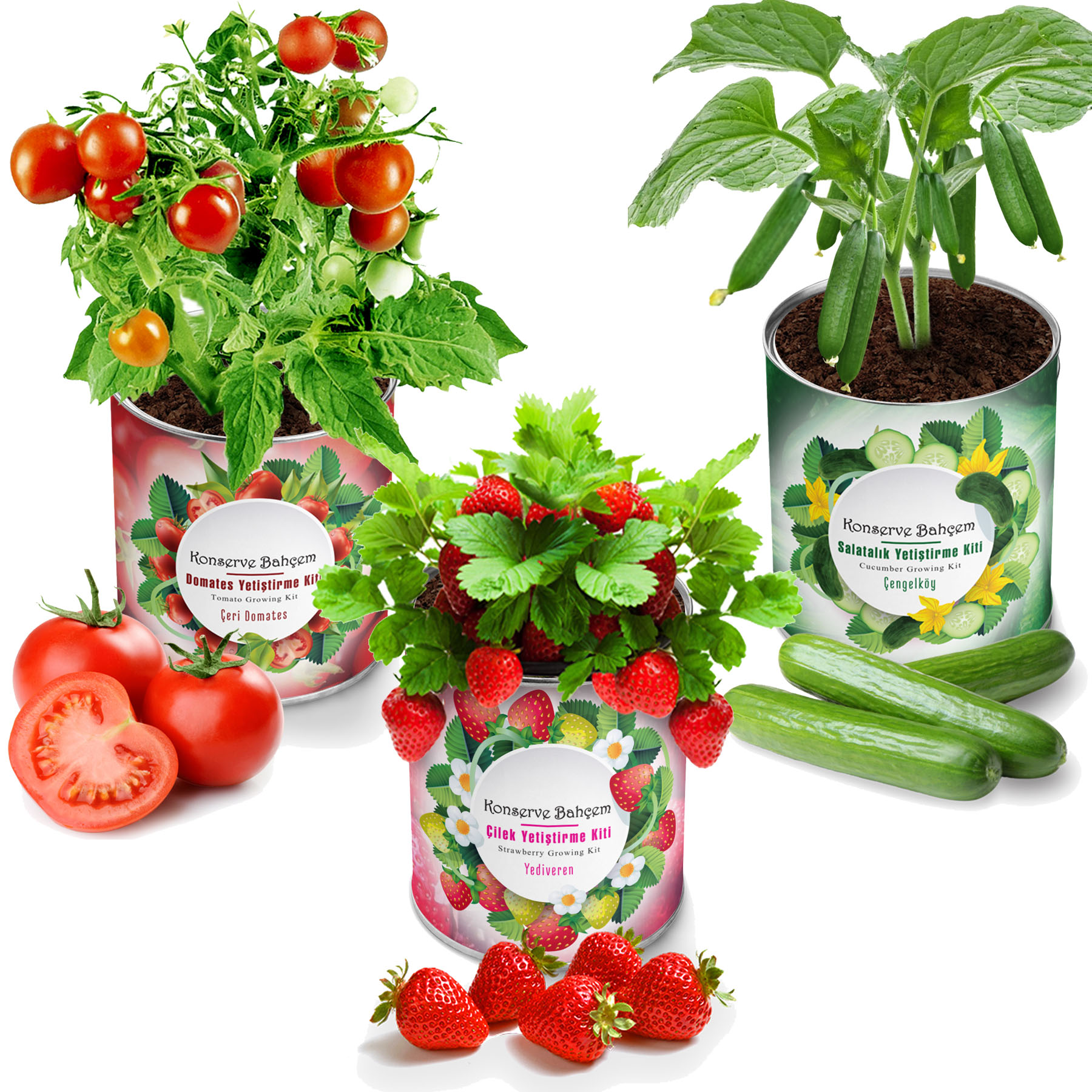 Konserve Bahçem Çilek + Salatalık + Domates Yetiştirme Kiti 3 Adet