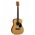 Cort Gitar ve Geniş Fiyat Aralığı