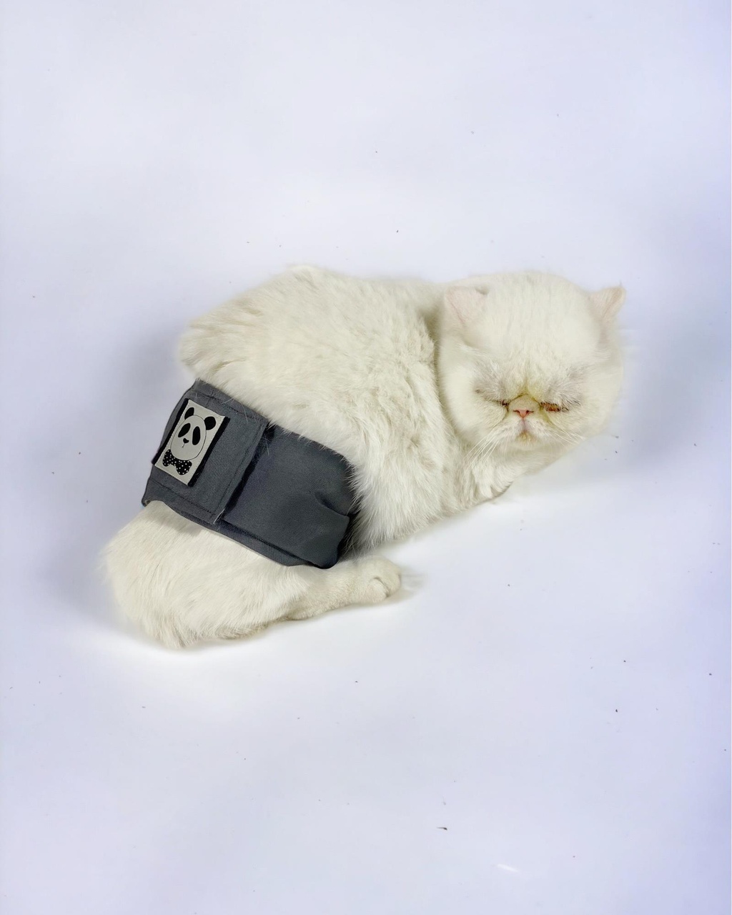 Kemique Kedi Çiş Bel Bandı Yıkanabilir Sızdırmaz Kedi Kıyafeti Gri S