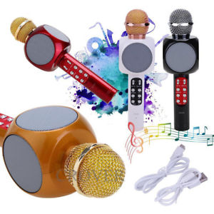 Karaoke Mikrofon Wster Ws-1816 Bluetooth Usb-fm-micro Sd