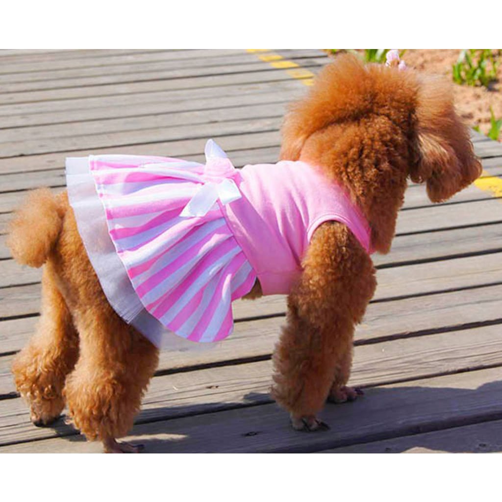 Tütü Etek Detaylı Koton Penye Köpek Elbisesi