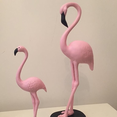 Flamingo Pembe 2Li