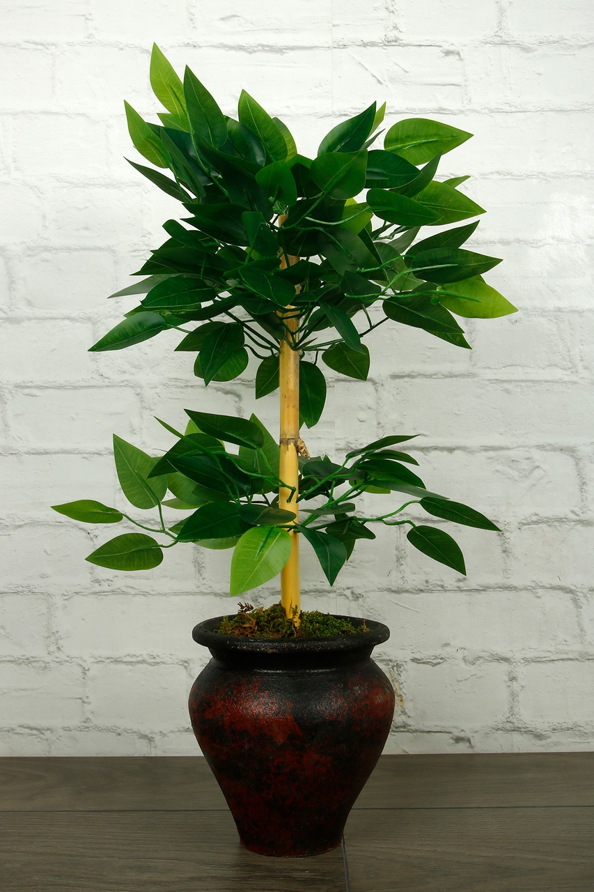 El Yapımı Çömlek Vazoda Dolgun Yapraklı Bambu Gövdeli Yapay Benjamin Salon Ağacı Plastik Bitki 55 Cm