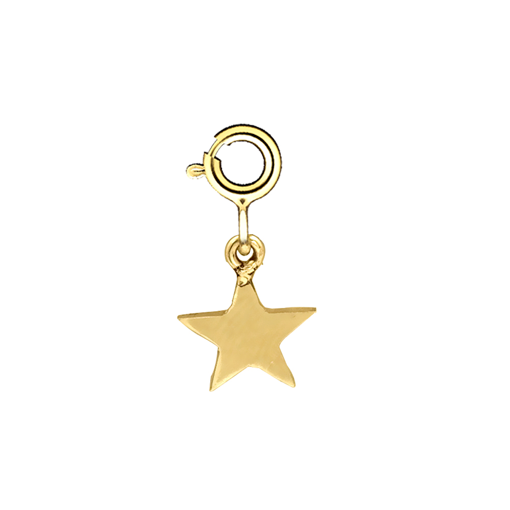 Ariş Yıldız Charm Altın Kolye Ucu N11.20496