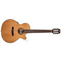 Cort Gitar ve Model Çeşitliliği
