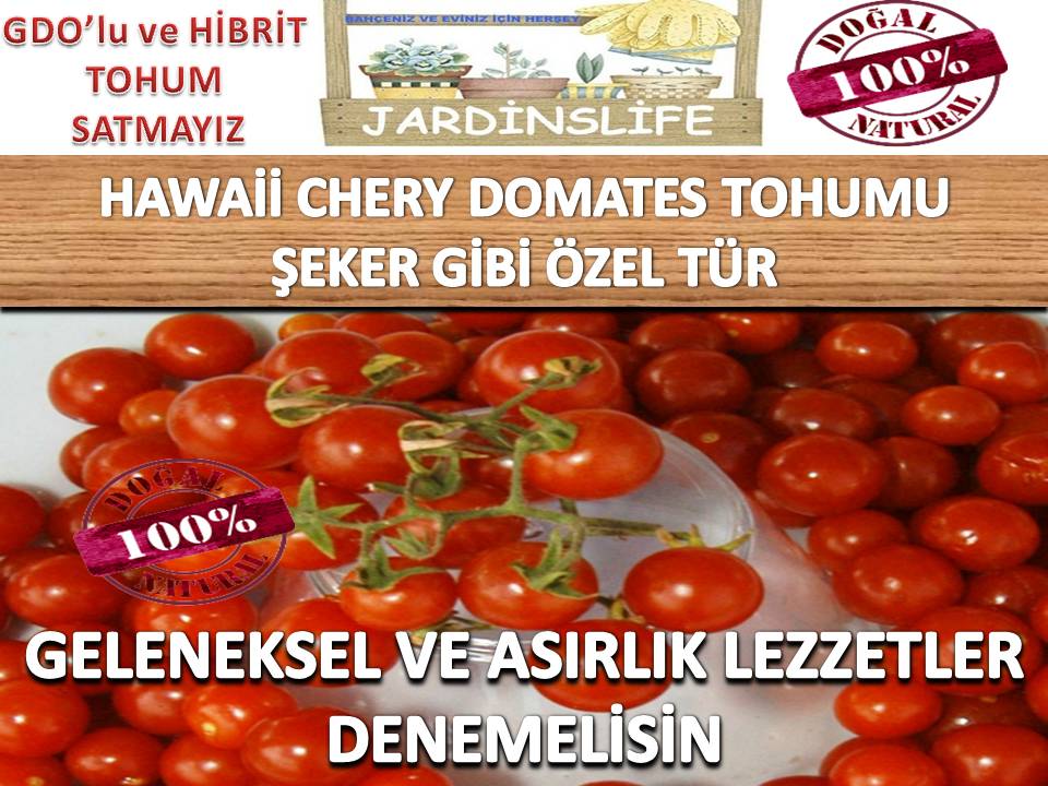 HAWAİİ ŞEKER CHERY DOMATES TOHUMU 10 ADET TOHUM