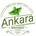 AnkaraBaharat