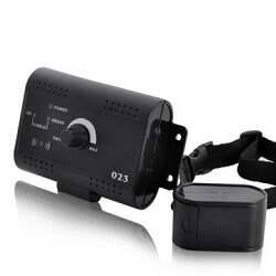 Yeni 2 In 1 Kablosuz Elektronik Pet Kopek Cit Sistemi Ve Kopek Egitim Yaka Bip Sok Titresim Egitim Ve Cit Fonksiyonu Aliexpress