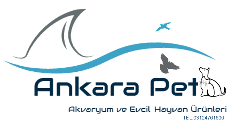 AnkaraPet