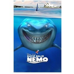 Animasyon Filmi Nedir?