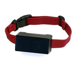 Sonik Tasma Modelleri Ve Fiyatlari N11 Com