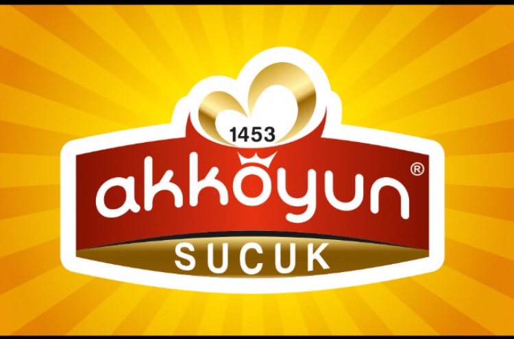 Akkoyun1453
