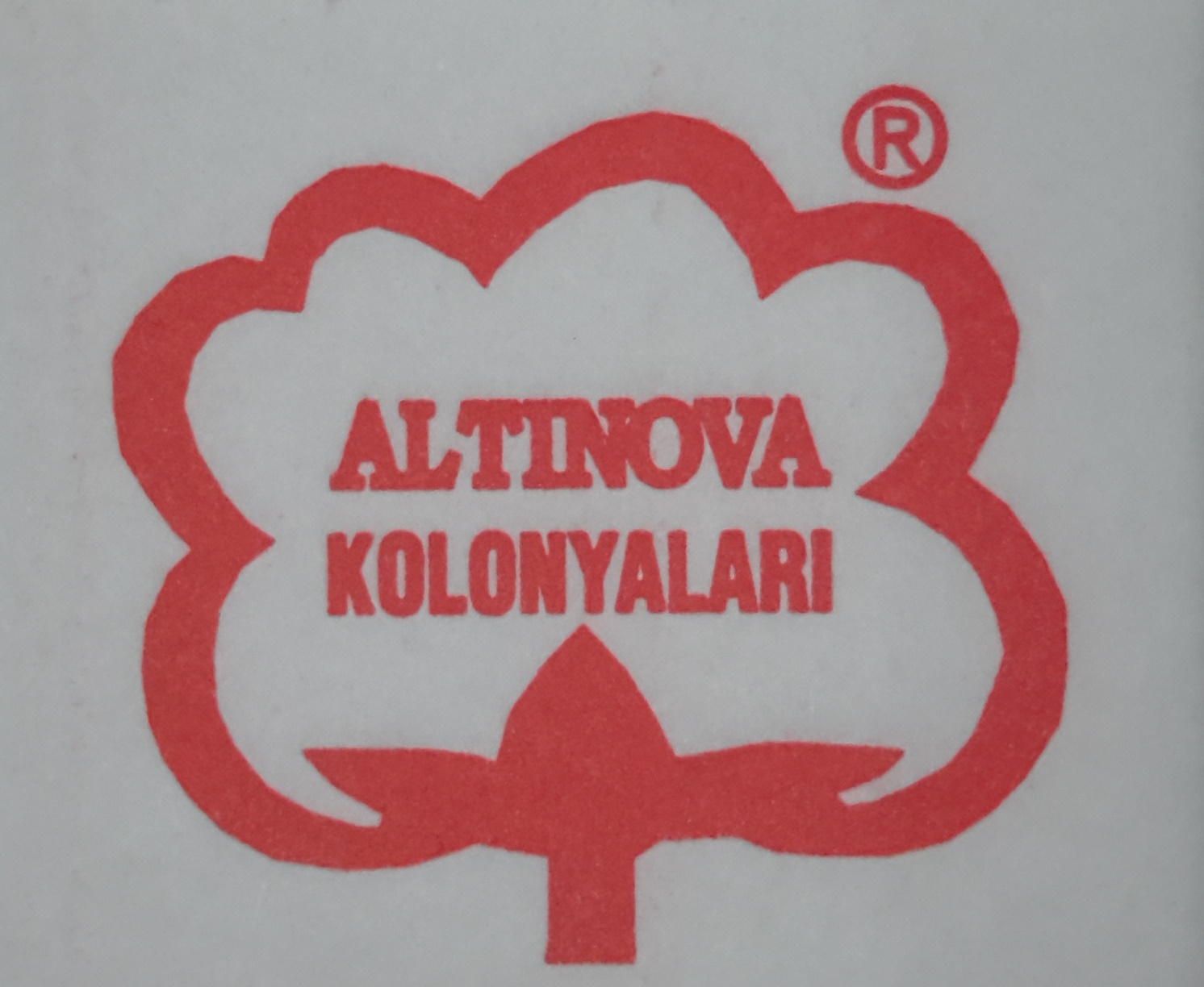 altınovaparfümleri