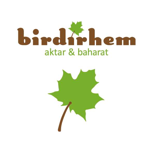 birdirhem