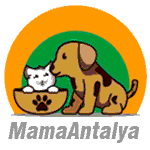 MamaAntalya