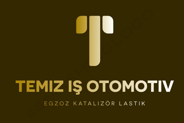 temizişegzozdünysı
