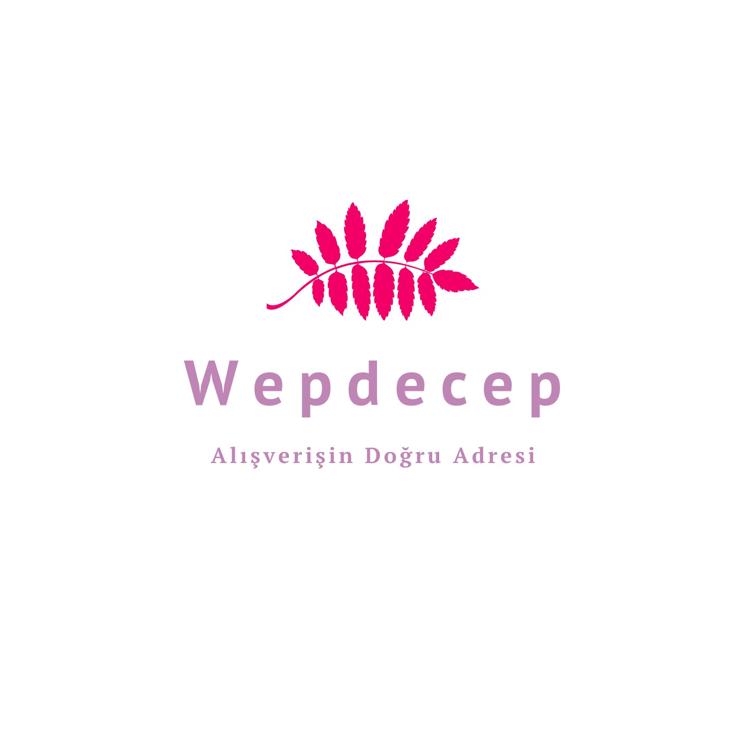 WebdeCep