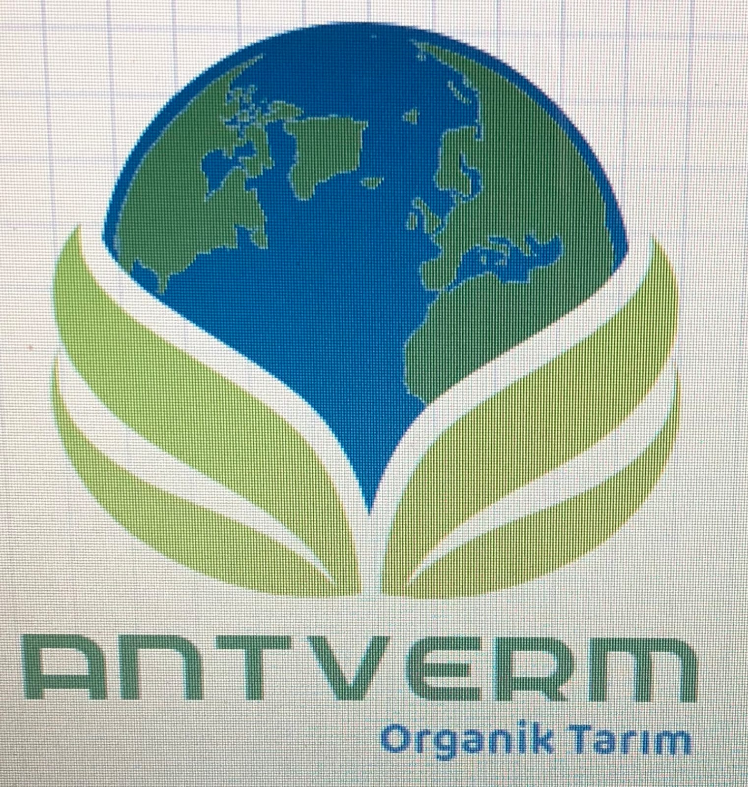 Antverm_Limited