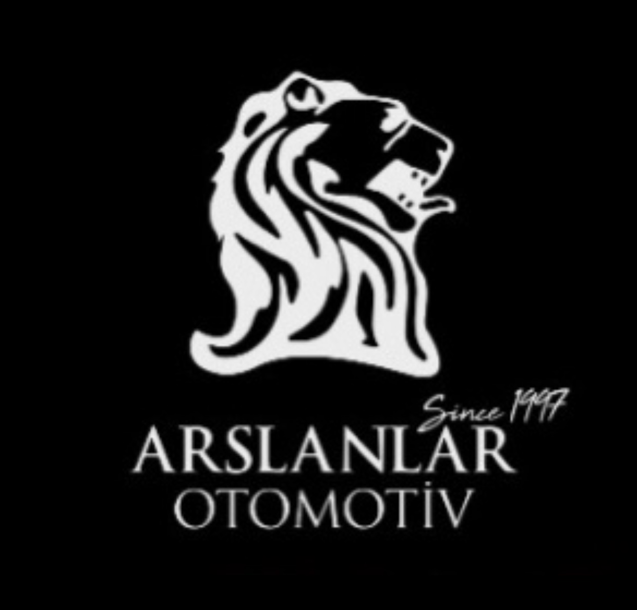 ArslanlarOtomotiv07